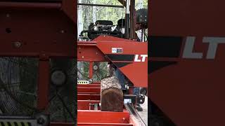 #shortvideo Sawing 4th Slab from 2nd Walnut Log #woodworking