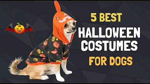 Best Halloween Costumes for Dogs 2019 - Funny Pets Costumes under 20