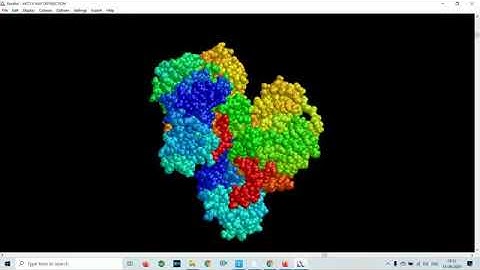 Visualization of protein structure using RasMol software