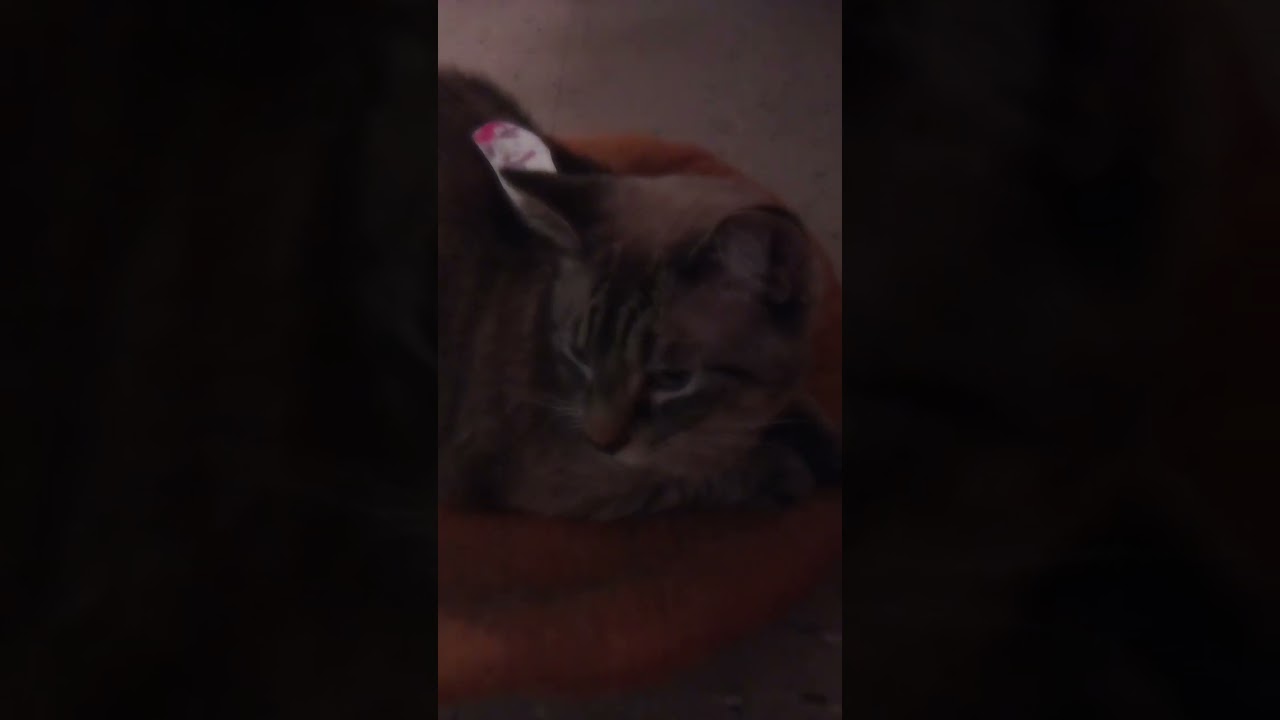 JIMINY CRICKETS, MARIO!! 😱 