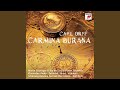 Carmina Burana: No. 9, Reie