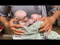 Super cute Alien Monkey check Alice Monkey eyes & kiss her when she cry