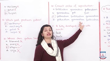 Class 8 - Science - Chapter 02 - Lecture 10 - Exercise (Q1,Q2) - Allied Schools