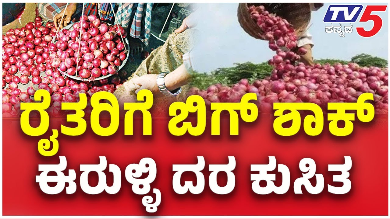 Sudden Fall In Onion Price At APMC In Belagavi Shocked Many Farmers ...