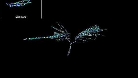 Morphological Detection : Email.Worm.Win32.Povgon.b