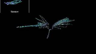 Morphological Detection : Email.Worm.Win32.Povgon.b