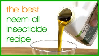 How to Make a Natural Neem Oil Insecticide