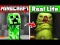 MINECRAFT MOBS IN REAL LIFE! (animals, items, blocks)