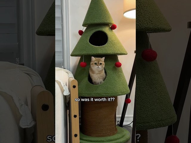 Best Christmas Cat Tree for Festive Fun! 3 sddefault