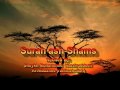 Surah ash-Shams (Sheikh Al-Albaanee)