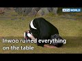 Inwoo ruined everything on the table 2 days and 1 night 4  ep1302  kbs world tv 220626