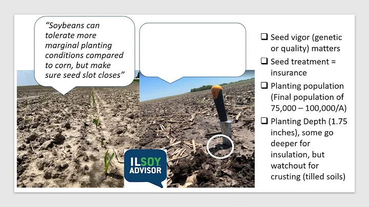 Early Soybean Planting in April: The Why and How