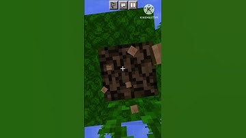 Types of Cheater in Minecraft