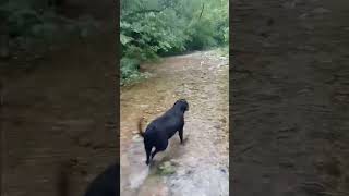 Watch Forbidden Inhuman Race video