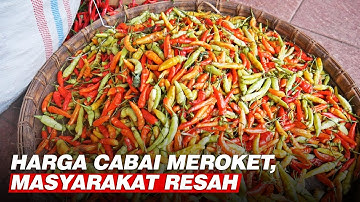 Harga Cabai Setan di Kudus Meroket Jadi Rp 75 Ribu Per Kilogram