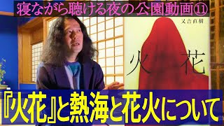 今のあなたにとって花火はどう見える？年齢とともに変化する花火…『火花』と「熱海海上花火大会」の知られざる関係性も【夜の公園 #11】