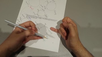 1.4 Restriction Endonuclease Mapping Problems (Made Easy) | Gel Electrophoresis