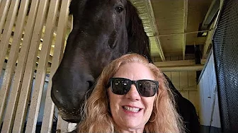 Discover the Magic of the Kentucky Horse Park