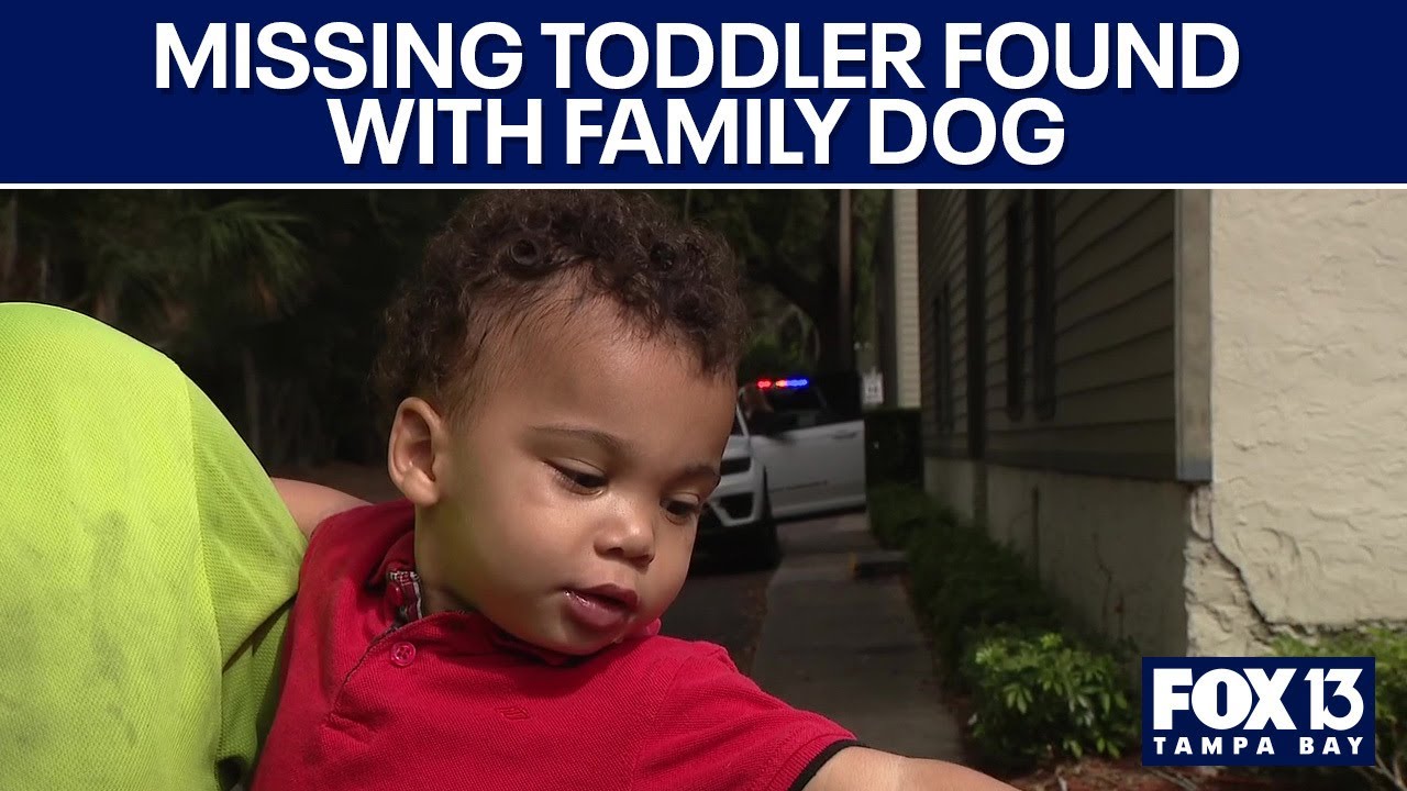 Missing toddler found safe with family dog - YouTube