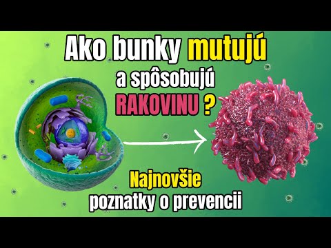 Video: Čo sú bunkové procesy?