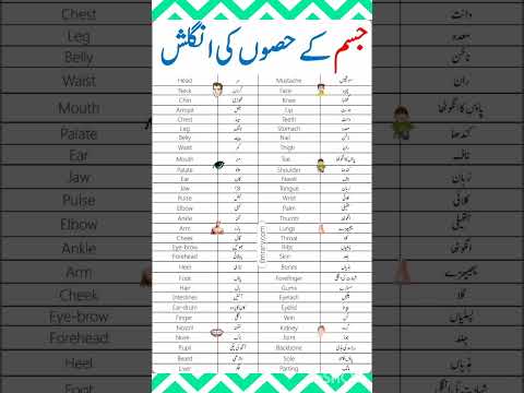 Human Body Parts Names In English With Urdu Meanings 