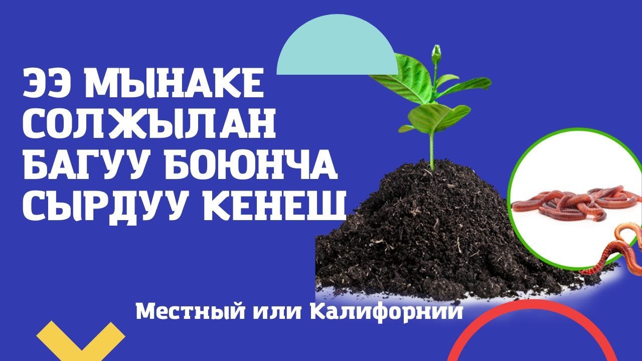 БИОГУМУС! Эээ мынаке ЭРНИСТЕН КЫМБАТ БААЛУУ КЕНЕШТЕР МЭЭНЕТКЕЧ СООЛЖАНДАРДЫН СЫРЫ