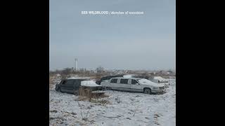 Seb Wildwood - Small Talk