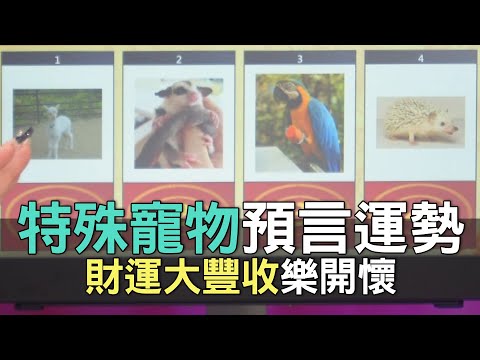 【精華版】特殊寵物預言運勢！財運大豐收樂開懷～