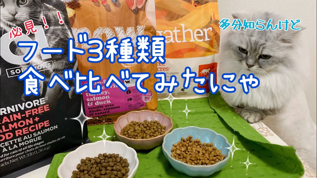 Mog Nyan プレミアムキャットフード 3袋セット Mog Nyan プレミアムキャットフード 3袋セット Mog Nyan