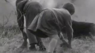 Dynamo Stairs - Unblasted