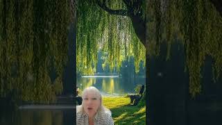 #секрет#рекомендации #смирение#благодать