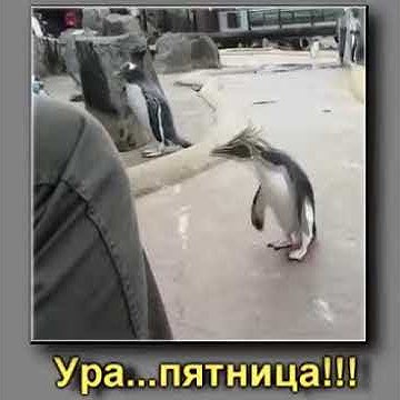 Пятница. - YouTube
