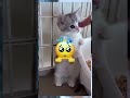 😱 بنت على حافة الموت… والقطة البطلة 🐱❤️