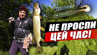 Купить Спінінг Crazy Fish Arion ASR862MLS (4-18g 260cm) недорого в