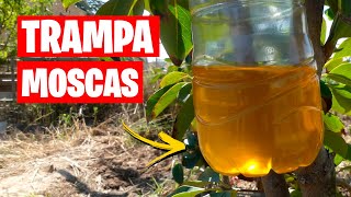 Como Hacer Trampas Contra la MOSCA de la FRUTA (Muy Efectiva) | La Huerta de Ivan