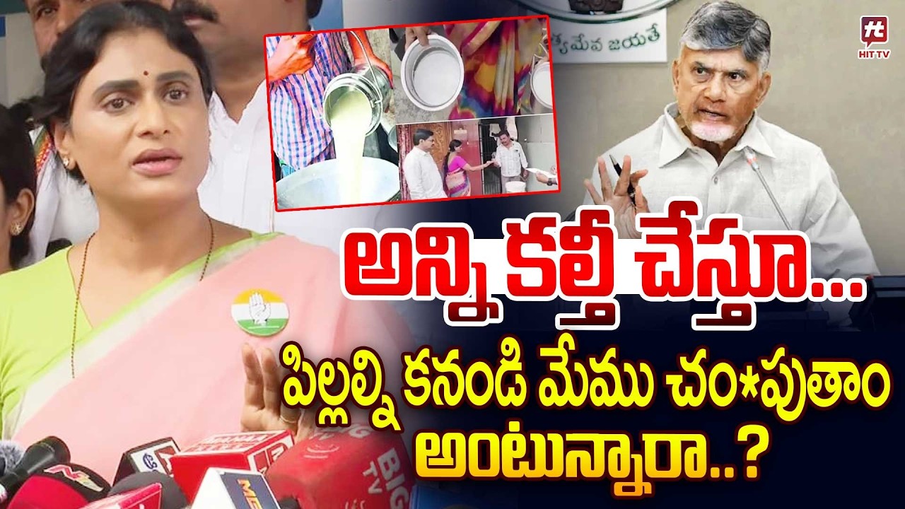 YS Sharmila Sensational Comments on Chandrababu & Pawan kalyan about Adulterated milk @hittvclips