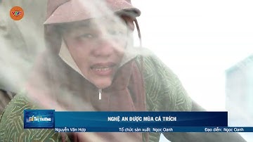NGHỆ AN ĐƯỢC MÙA CÁ TRÍCH | VTV5