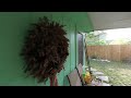 2019-03-30 - Bird Nest in Wreath VR180