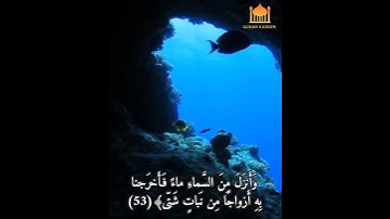 الَّذي جَعَلَ لَكُمُ الأَرضَ مَهدًا وَسَلَكَ لَكُم فيها // بصوت القارئ حسان بدران