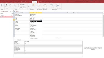 Data Type and Field Properties