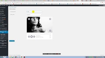 Modern Audio Player WordPress Plugin edit players