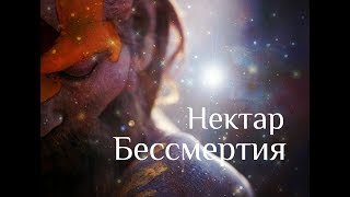 Что бы ни воспринималось, не есть вы сами - Нисаргадатта Махарадж. Нектар Бессмертия