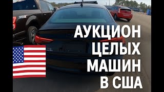 Аукцион автомобилей в США - Что купить на перепродажу?