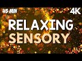 Autism Calming Music Fall Sensory Visuals To Relax And Unwind 