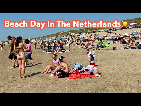 Bloemendaal Beach Walking Tour In  The Netherlands || a Typical Warm Day In The Netherlands🇳🇱☀️