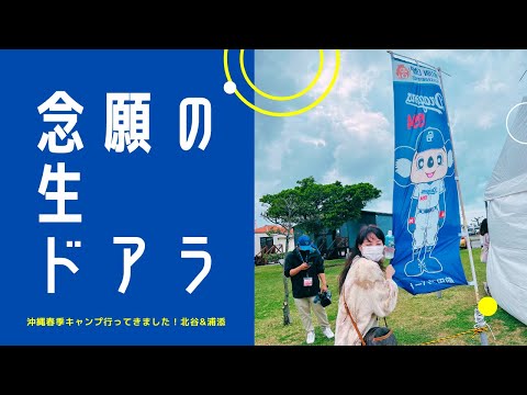 ドアラに会いたい！