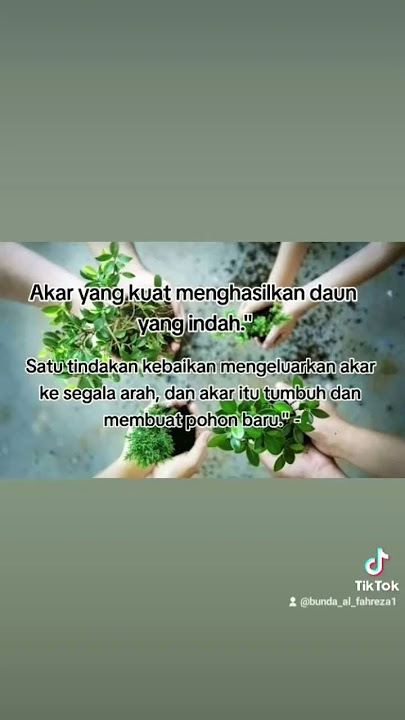 pohon tumbuh dengan akar yg kuat. #quotes #storywa #katakatahidup #kata² #motivasi #masukberanda