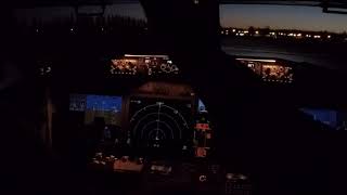 Boeing 737 MAX  8 - Approch and Landing - Neuquen - Argentina