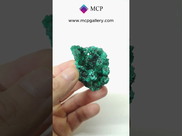 GFS0629 DIOPTASE - CONGO #minerals  #crystalshop #gemstone #crystals #gems