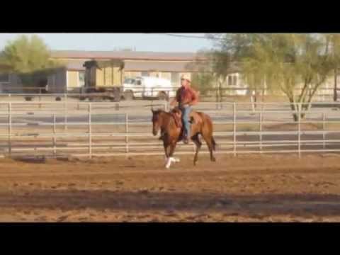 SOLD~Jerry Lee Louis Reining Horse For Sale~Motiva...